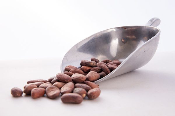 Cacao Beans 1kg - Raw, Unroasted