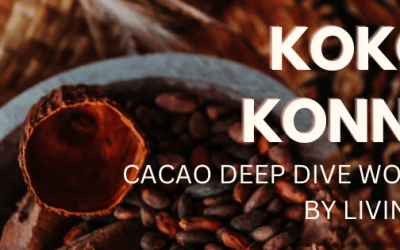 Koko & Konnect