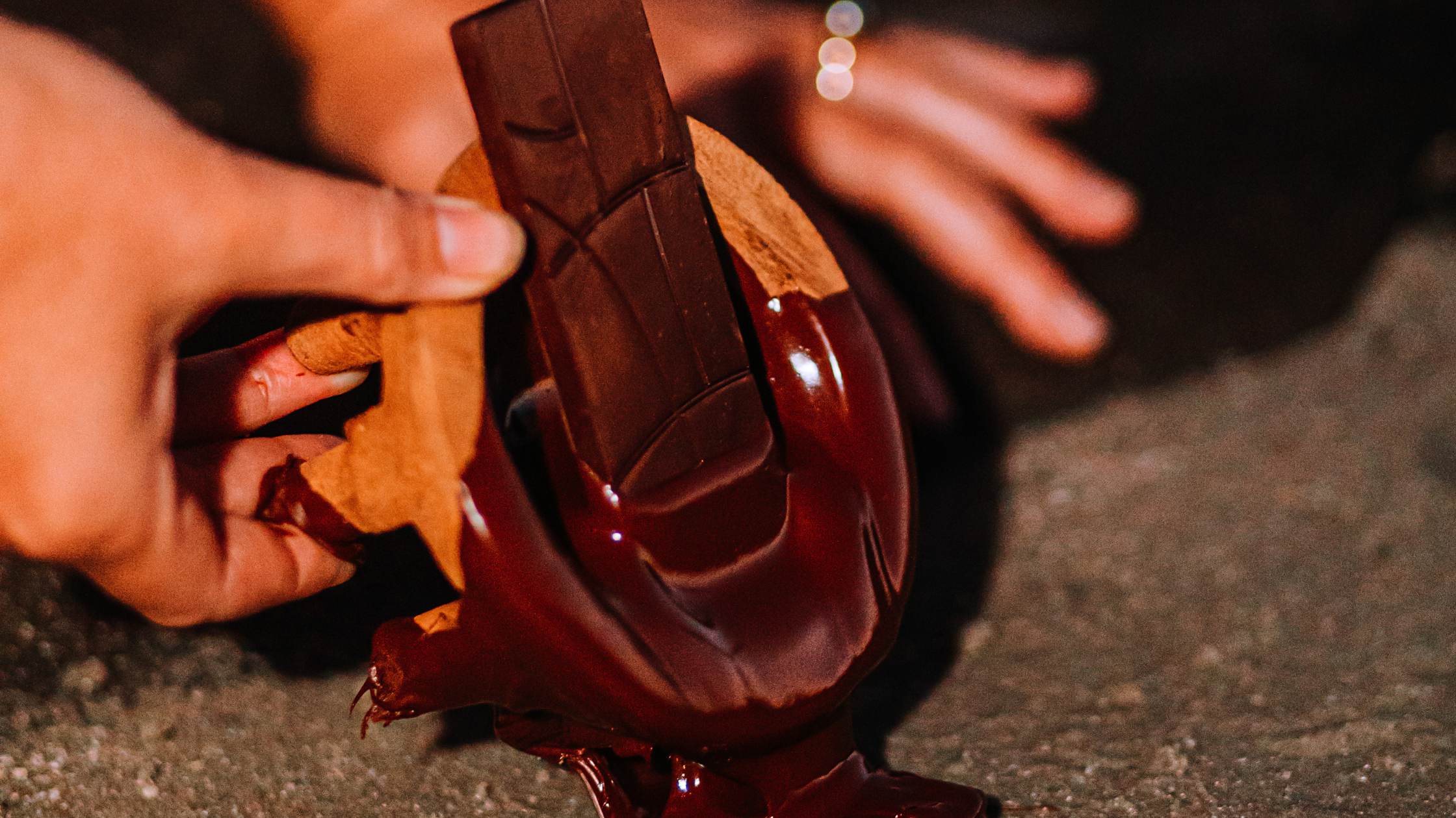 https://www.livingkoko.com/chocolate/