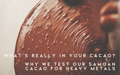 Does cacao contain heavy metals?
